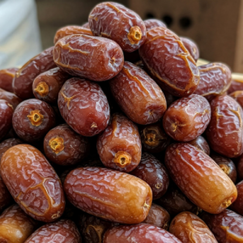 MEDJOOL DATES 5kg (Choice grade)